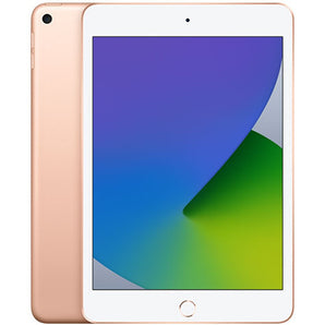 iPad Mini (5th generation)