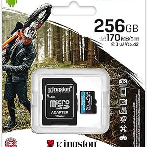 256 GB SD card