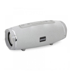 Rich Sound Sports(Grey) Wireless speaker